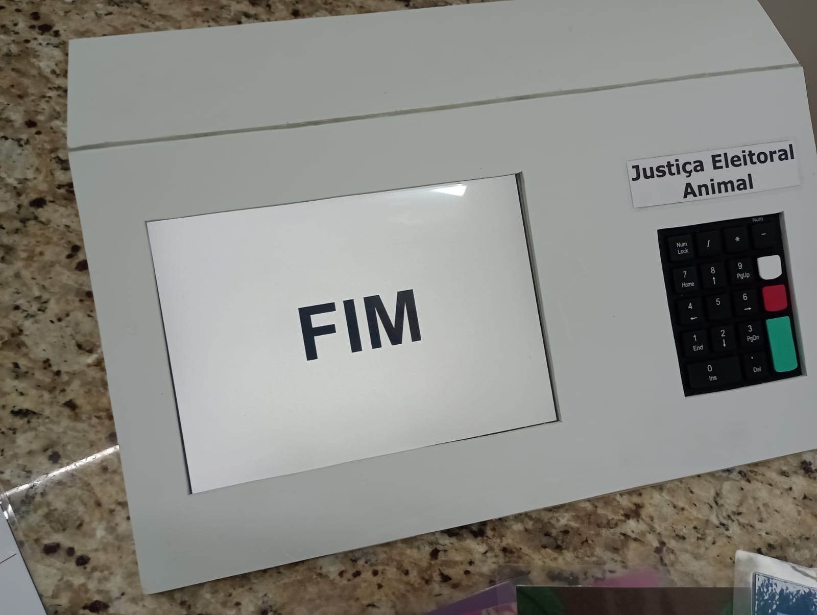 Imagem do voto concluído